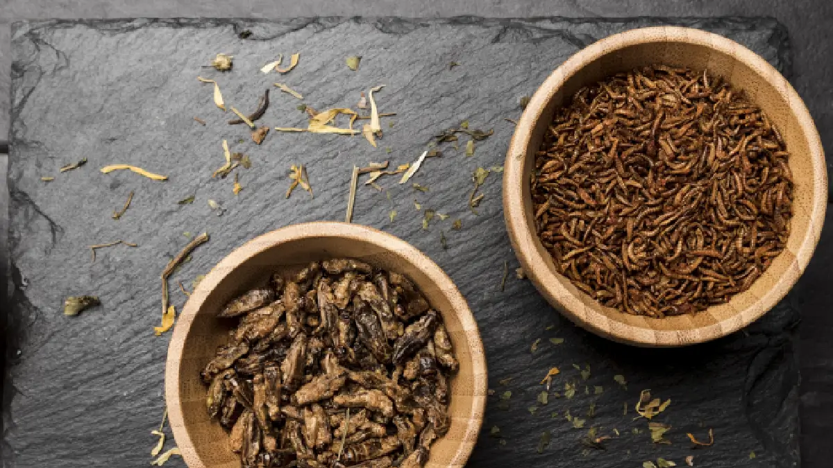 Cumin: The Digestive Aid