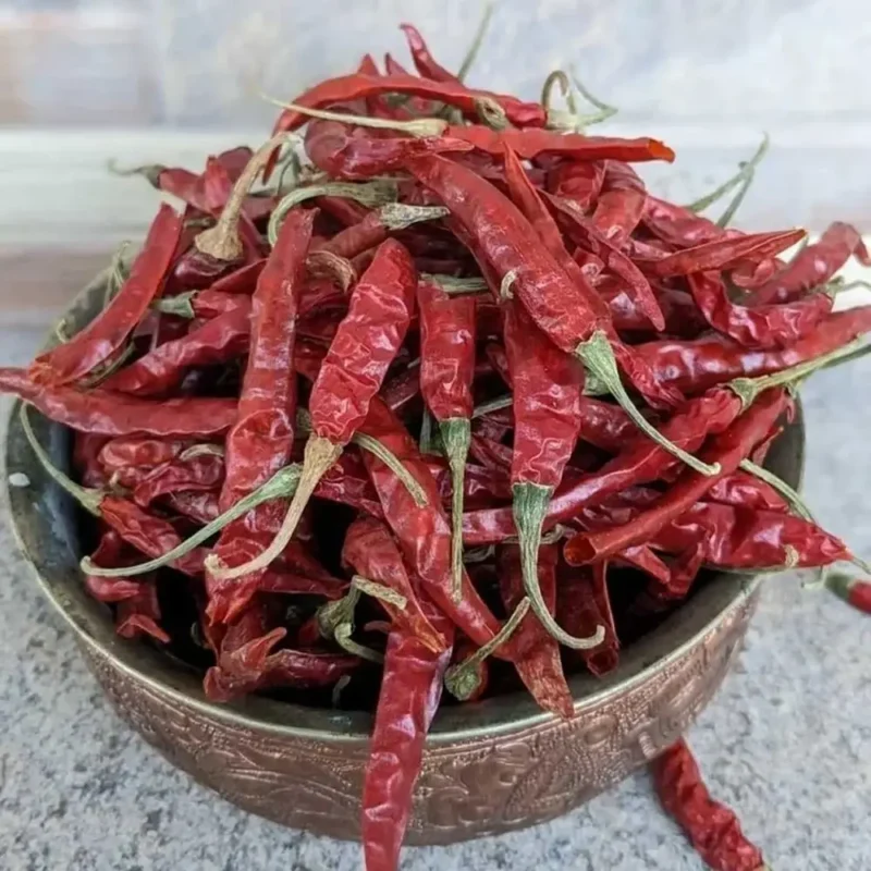 Gondal Red Chilli